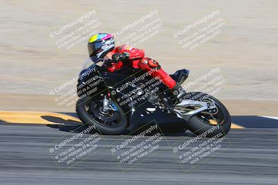 media/Feb-04-2024-SoCal Trackdays (Sun) [[91d6515b1d]]/4-Bowl Backside (11am)/